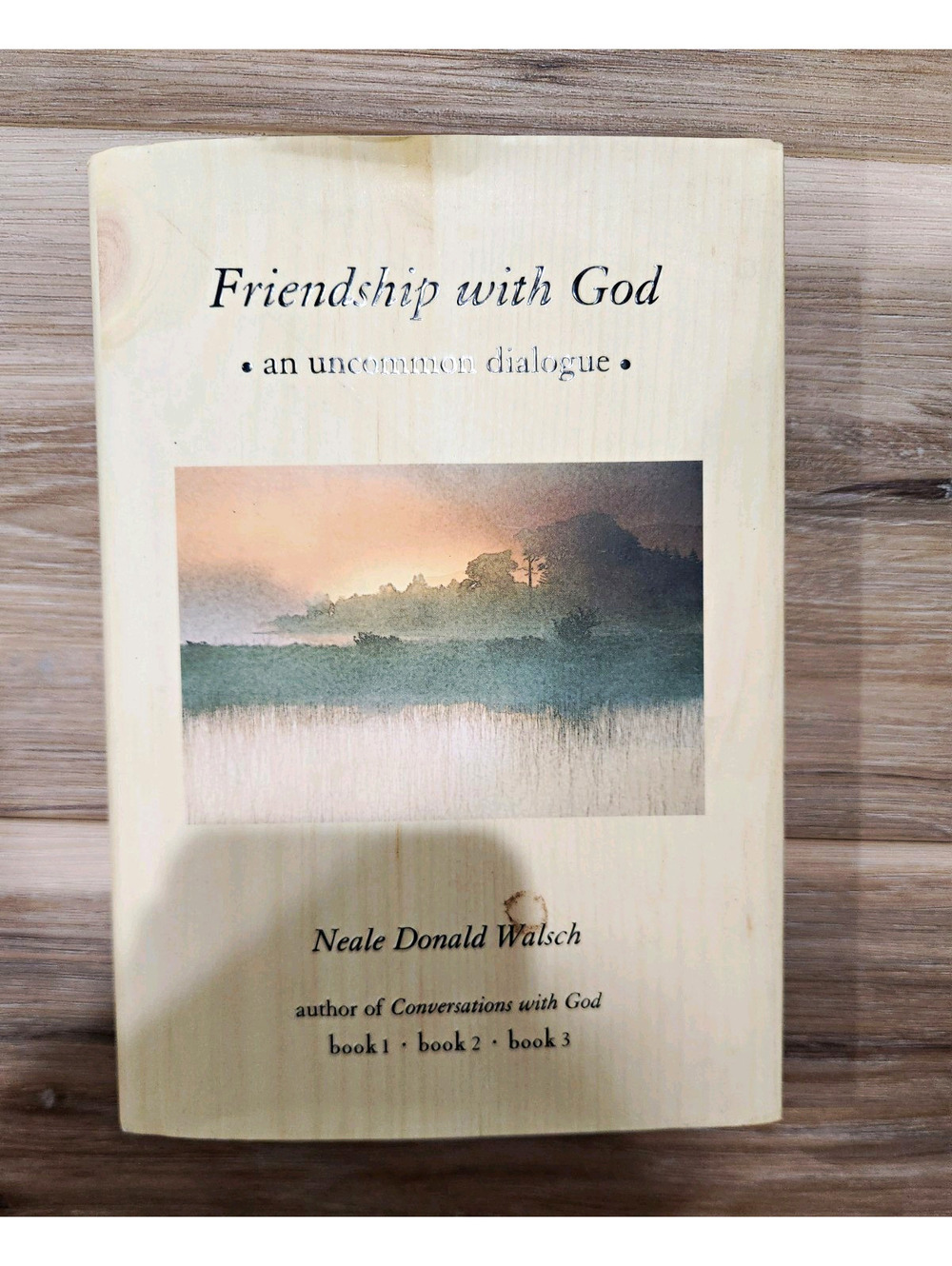 Neale Donald Walsch Friendship with God HC 1999 Putnam Conversations